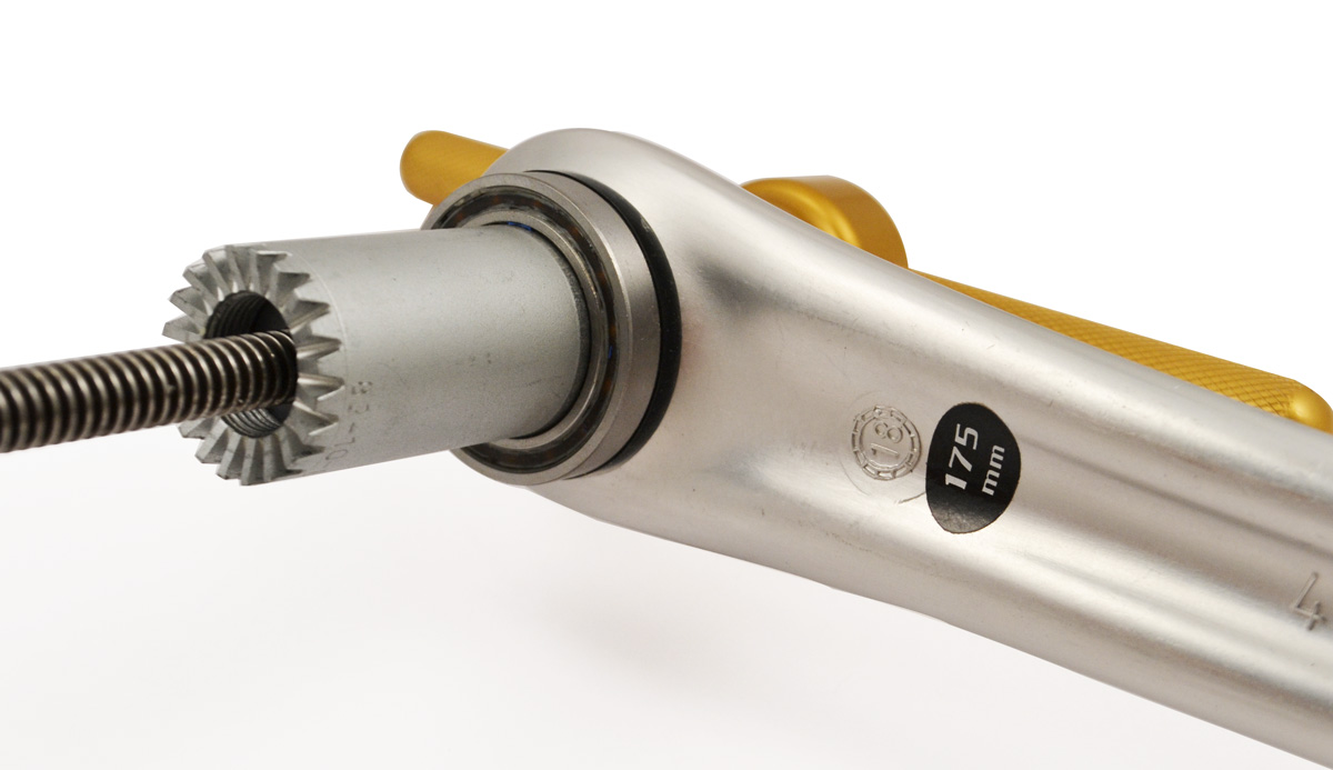 campy-ut-press2-short.jpg